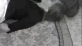 Pyzaty masażystka pieprzy chudy darmowe filmiki erotyczne lesbijki klient w sesji